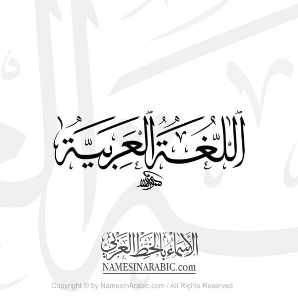 Beginner Arabic Course